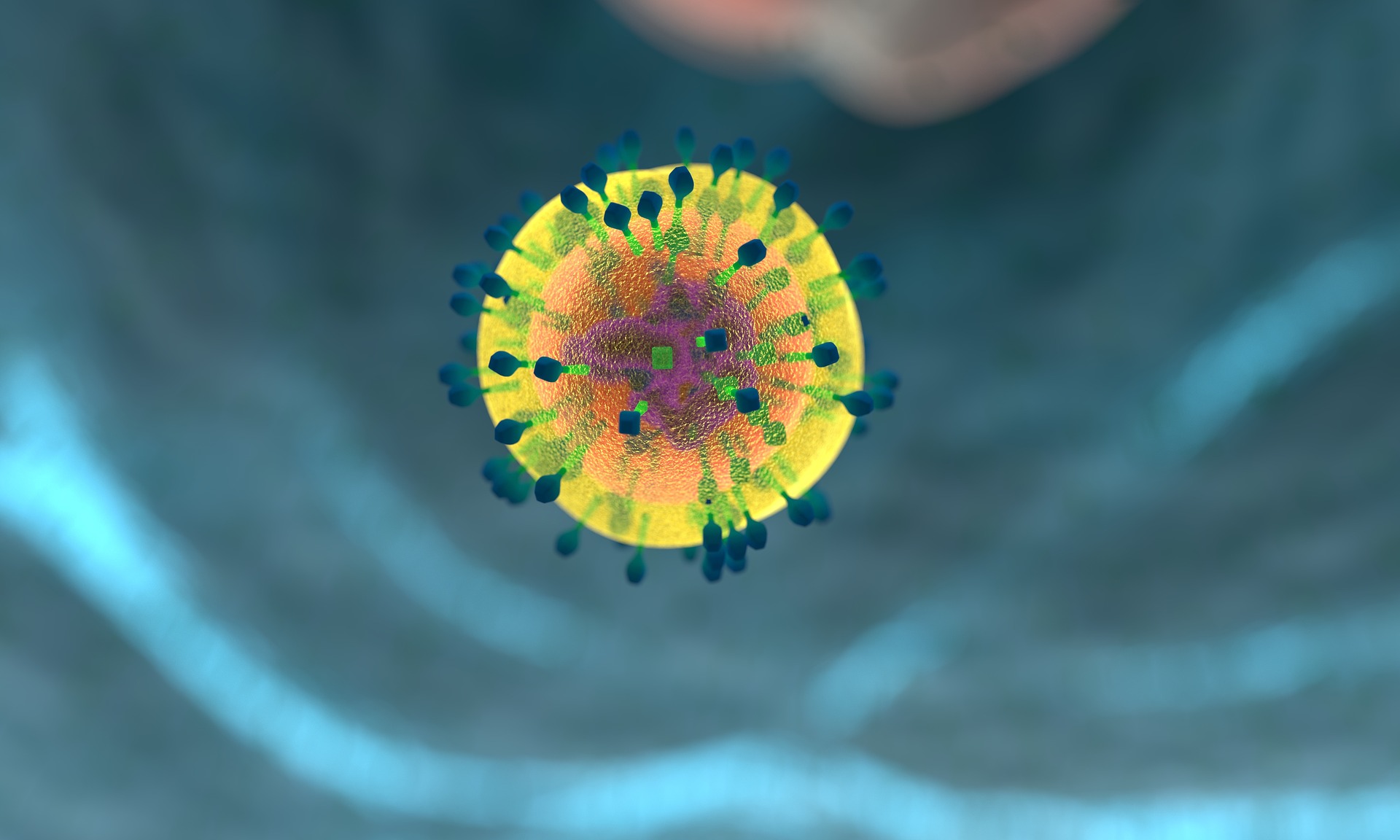 immunsystem