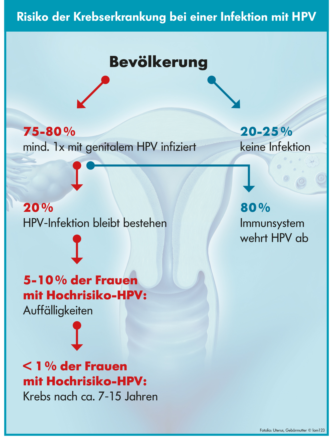 hpv krebs behandlung